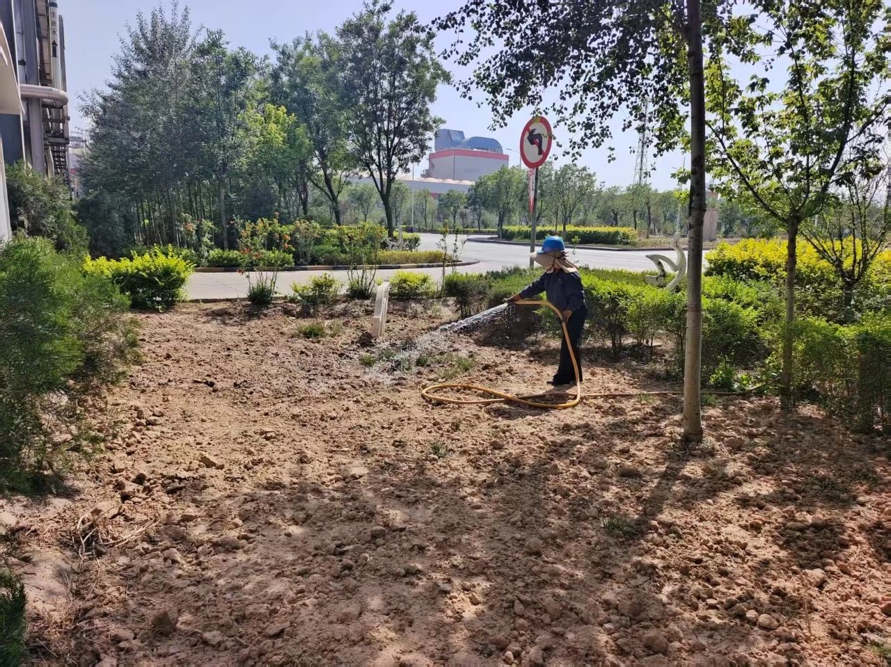 禹宏環保科技公司:綠蔭如蓋綻新顏,綠色發展譜新篇 禹宏環保科技公司:綠蔭如蓋綻新顏,綠色發展譜新篇